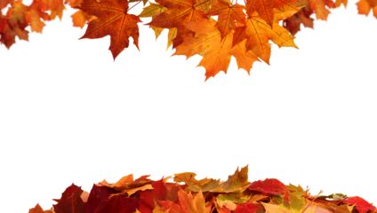 Red Fall Foliage Frame PNG. Fall Leaf Border on Transparent Background