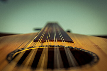 Arabian Oud guitar close up