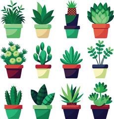 Collection of diverse potted green plants and cacti for home decor and gardening enthusiasts