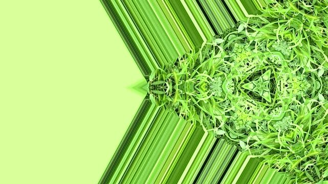 video con movimiento de diagonales con flash verdes claro y figura abstracta de vegetaci&oacute;n en movimiento  hacia la derecha