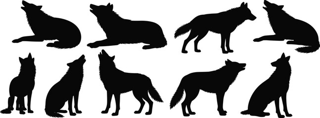 Silhouette of wolves in various poses, standing, sitting, howling, lying down, wildlife animal illustration, nature concept, CAD drawing flat vector illustration