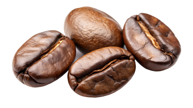 Four roasted coffee beans isolated on transparent background, displaying their diverse shapes and sizes, ideal for coffee enthusiasts