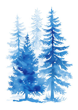 PNG Blue a Pine Trees trees illustration watercolor.