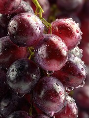 a cluster of ripe grapes with water droplets highlighting their glossy skin and freshness