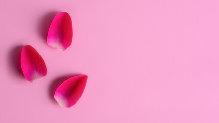 Minimal floral design: three rose petals with shadows on pink surface, copy space for text.