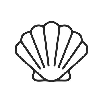 Minimalist line art seashell icon on white background