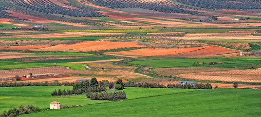 Agricultural industry. Farms in productive fields. Spain	