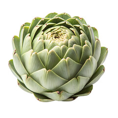 Fototapeta premium Buy fresh artichoke online for healthy eating and delicious recipes with this green vegetable