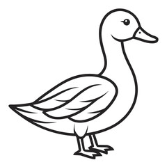 duck on white background