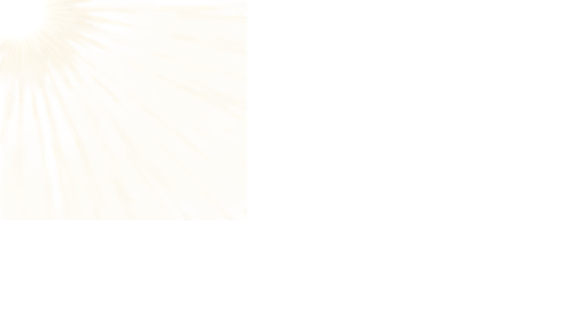 Soft Palm Leaf Elegance: a delicate and dreamy close-up of a palm leaf, with its intricate textures, a celebration of nature's simple beauty and the serene artistry of natural forms.