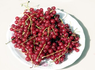 sour,red currants close up as tasty berries