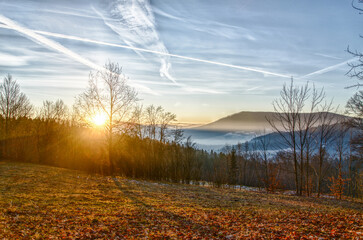 sunset in the forest