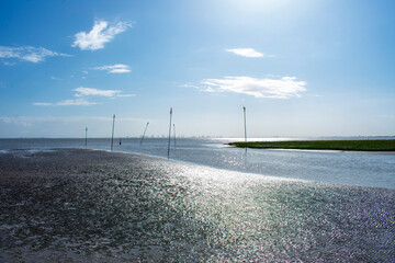 Nordseeküste von Fedderwardersiel bei Ebbe am Morgen