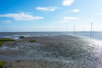 Nordseek&uuml;ste von Fedderwardersiel bei Ebbe