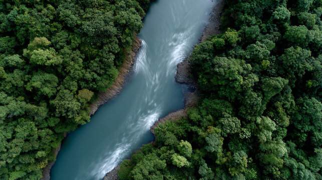 A river carving through the forest.