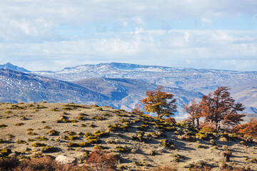 Autumn in Patagonia