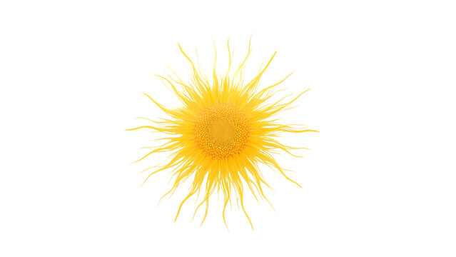 Radiant Sunshine: A vibrant illustration of the sun's luminescence, radiating warmth and life. Its rays burst outward, casting a golden glow, creating a feeling of optimism and energy.
