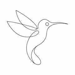 Obraz premium humming bird art illustration jpg on white background