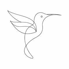   humming bird line art illustration jpg on white background