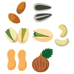 Nuts seeds set peanut walnut sunflower pistachio isolated vector illustration on white background