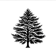 line drawing of young lebanese cedar tree bold and graphic logo.