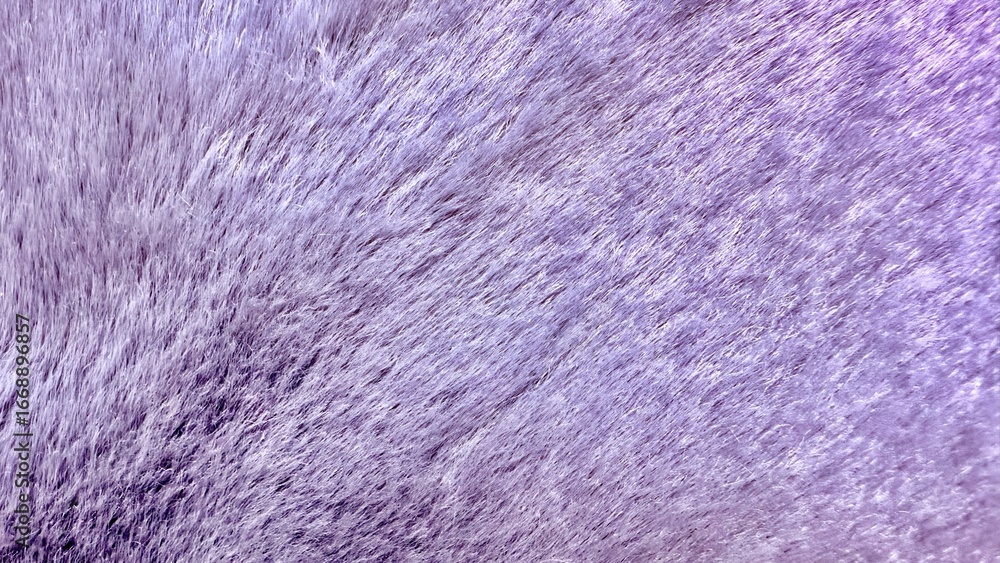 Poster soft lilac faux fur texture close up with fluffy fibers creating abstract pastel background for fabr