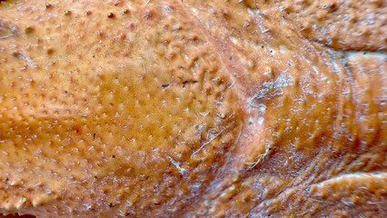 roasted golden brown crispy poultry skin close up with detailed surface texture for food background...