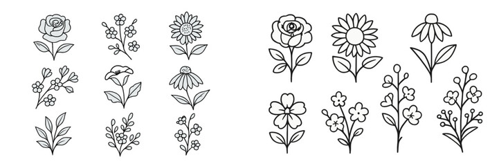 Botanical Line Art Flowers and Leaves Collection