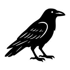 Obraz premium A striking silhouette of a raven perches with an air of mystery and wisdom, a classic symbol of intelligence and the wild.