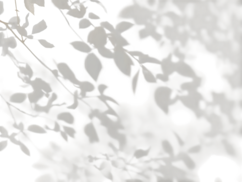 Shadows of Nature: Delicate dance of light and shadow, leaf shadows gracefully cast on the surface, conjuring a sense of calm and tranquility