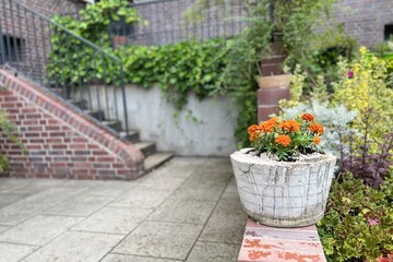 A terra-cotta pot filled with bright orange flowers sits on a brick wall.