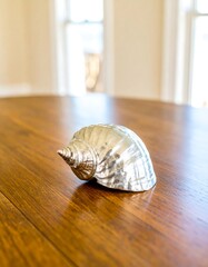 Polished seashell on wooden table