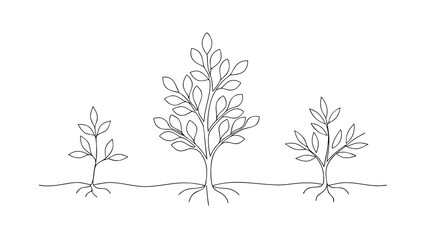 3d continuous line drawing of step of tree growth  on white background