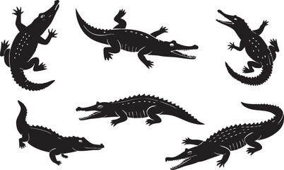 set of crocodile