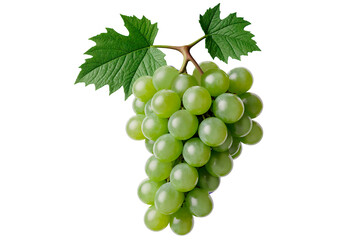 Obraz premium bunch of green grapes
