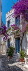Whitewashed alleyway with vibrant bougainvillea (1)