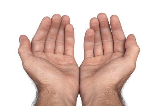 Open cupped human hands in a giving or receiving gesture symbolizing help, support, or donation, isolated PNG with a transparent background