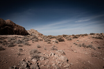 desert landscape with blue sky