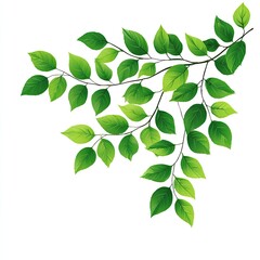 Naklejka premium Lush green branch with numerous ovate leaves, angled diagonally across a white background, showcasing vibrant spring foliage