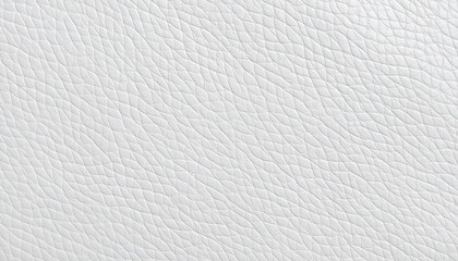 Close-up of textured white leather surface with fine, irregular grain patterns and subtle creases