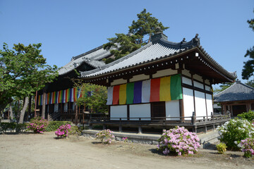 百萬遍知恩寺　御影堂と勢至堂　京都市左京区