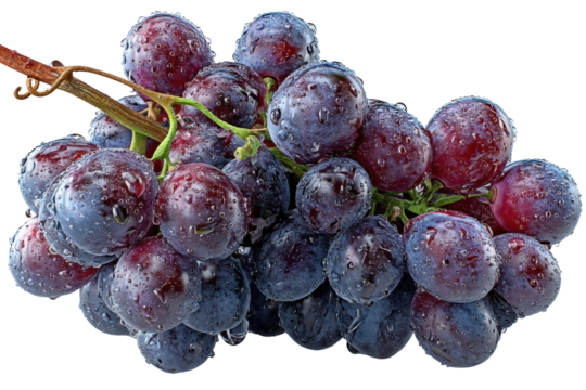 Harvesting fresh grapes vineyard food natural organic benefits isolated on transparent background, png