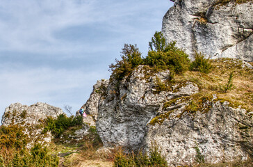 Góra Zborów in the Kraków-Częstochowa Upland with limestone rocks and scenic view.