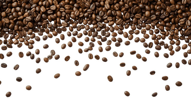 Rich Aroma of Roasted Coffee Beans: A vibrant cascade of dark brown coffee beans, freshly roasted, elegantly tumbles across the frame, promising a sensory delight.
