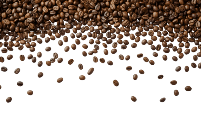 Rich Aroma of Roasted Coffee Beans: A vibrant cascade of dark brown coffee beans, freshly roasted, elegantly tumbles across the frame, promising a sensory delight.