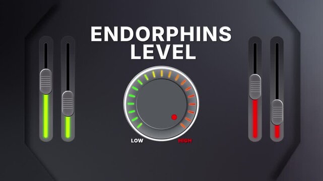 Animation of Endorphins level on a circular gauge moving from low to high and back. Can be used to show increase or decrease. Perfect for health, fitness, or data content.
