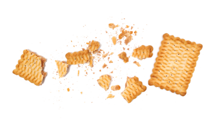 Rectangular double color biscuit broken and crumbs, cookies pieces isolated on white, top view