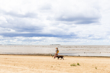 professional dog walker. person walks two pets on beach by sea. dogs on leashes, woman is wearing...