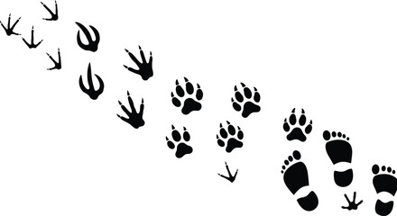 Animal and human footprint vector set, including bird, dog, and baby tracks, perfect for educational, design, wildlife, and nature illustrations.