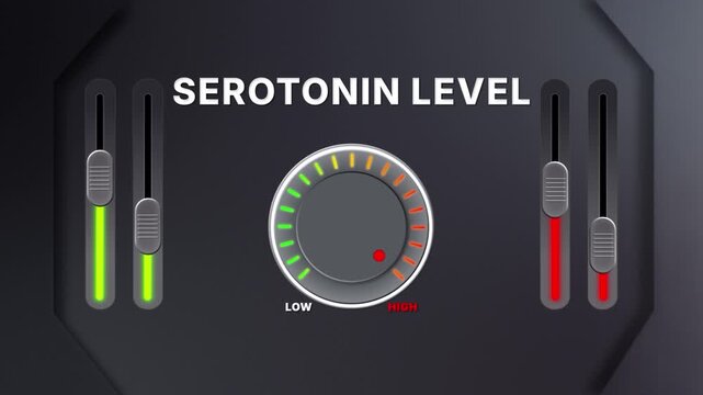 Animation of Serotonin level on a circular gauge moving from low to high and back. Can be used to show increase or decrease. Perfect for health, fitness, or data content.